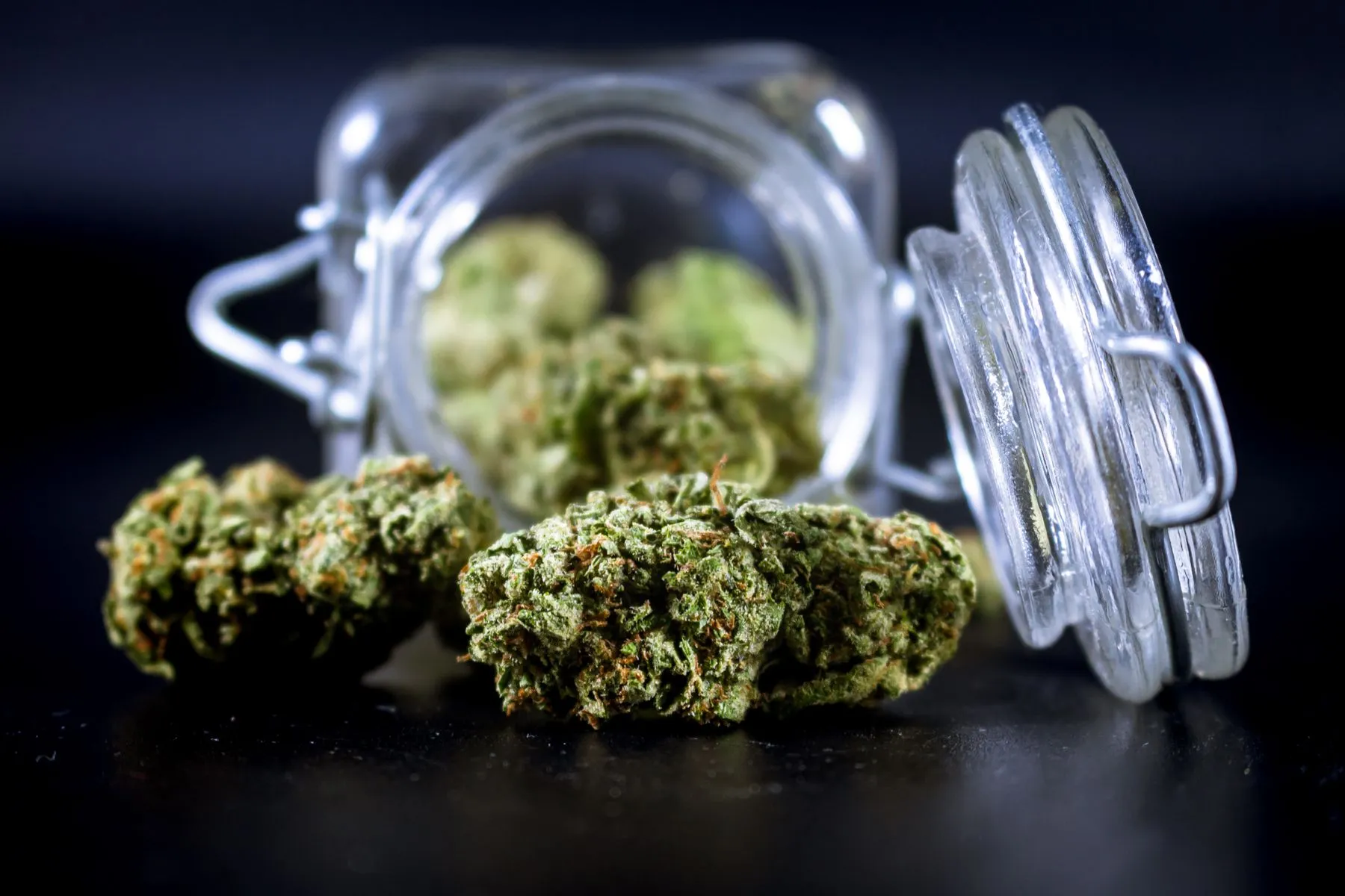 Close-up of trimmed hemp flower buds
